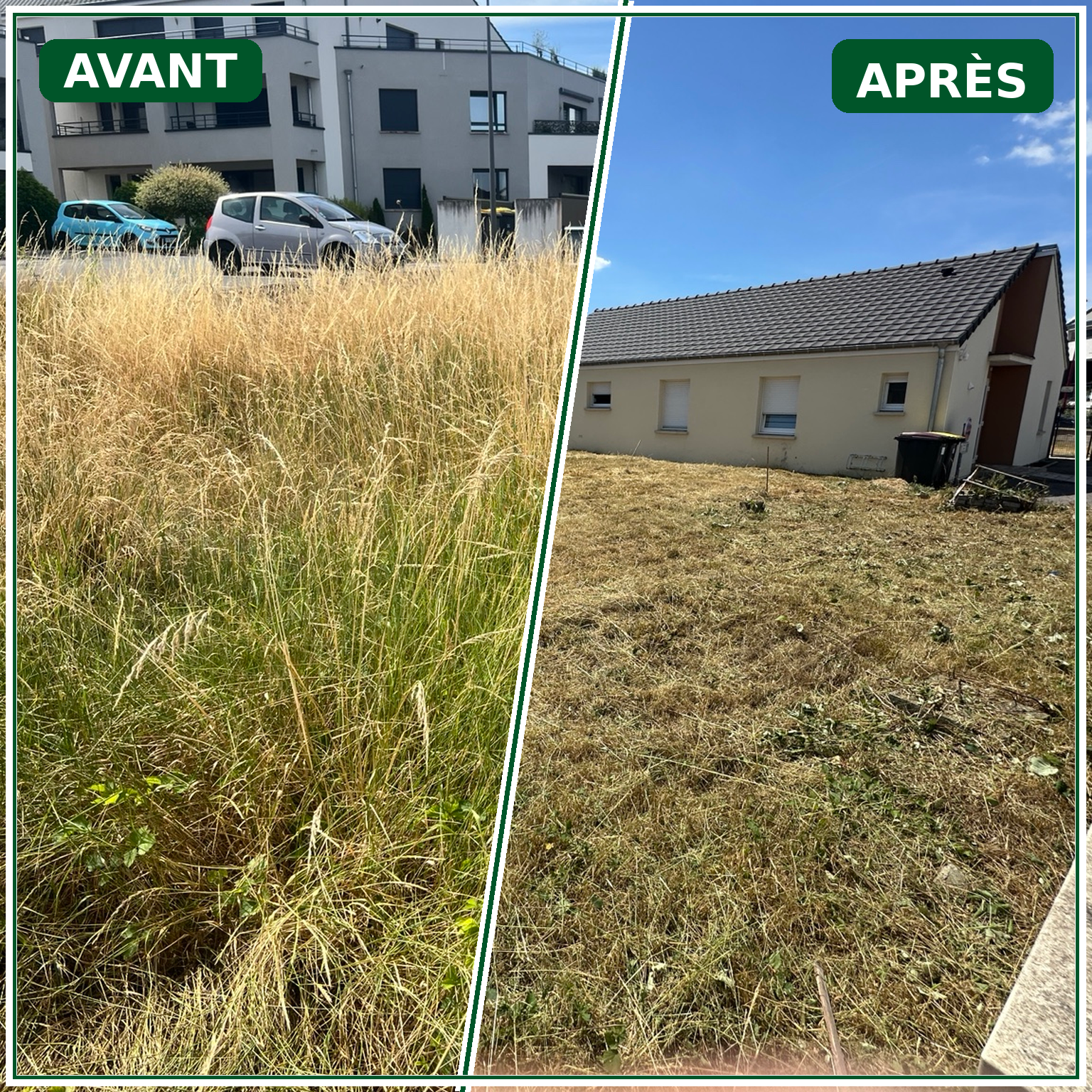 Chantier réalisé par Pierre Bois & Espaces Verts
